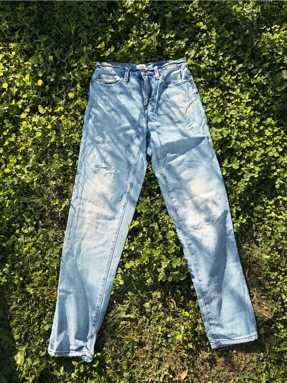 Pistola Light Blue Distressed Women's Jeans 25